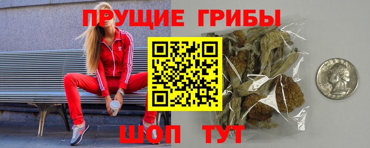 Галлюциногенные грибы ЛСД  Вход с VPN  Новосибирск  Галлюциногенные грибы Psilocybine cubensis 